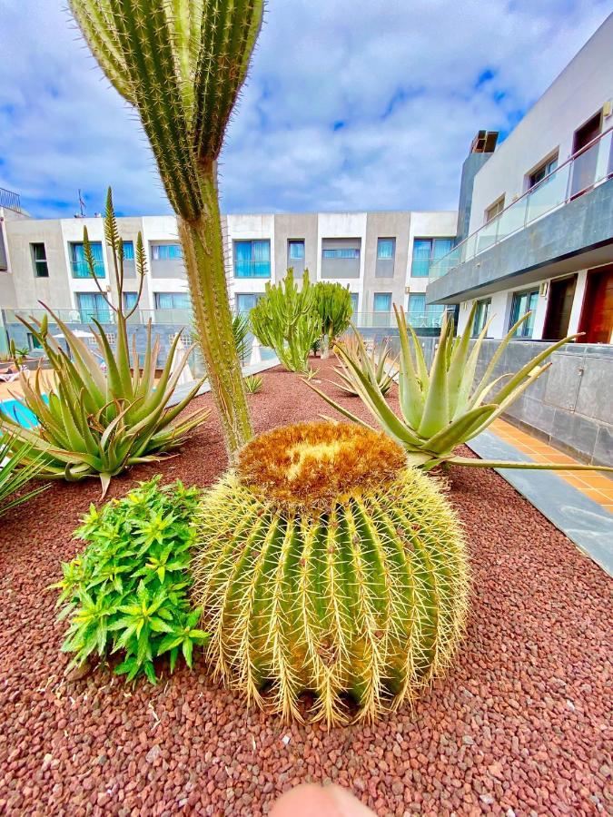 شقة Mar De Fuerteventura 2 كوراليهو المظهر الخارجي الصورة